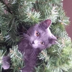 Meet your Posher, Marlene